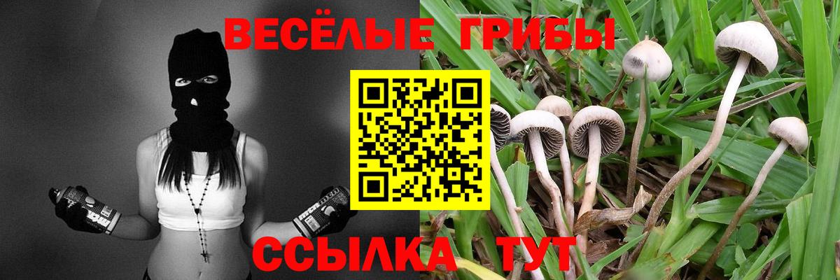 Псилоцибиновые грибы мухоморы Балтийск